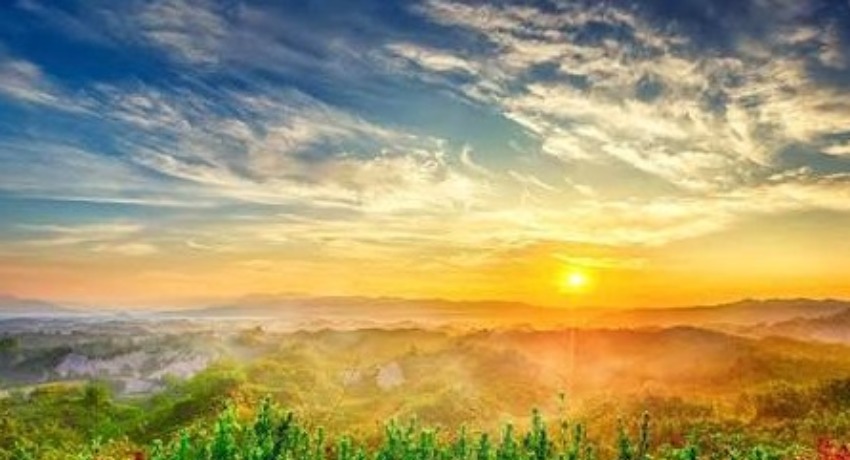 蘑菇视频官网 - 海量高清视频在线观看